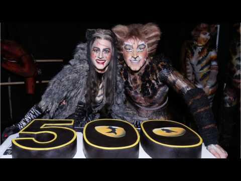 VIDEO : Cats Movie Musical Coming to Theaters In 2019