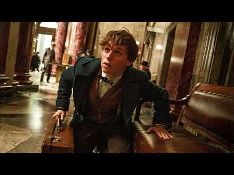 VIDEO : 'Fantastic Beasts' Stars Make Appearance At Kings Cross Station