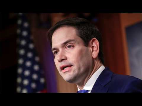 VIDEO : Marco Rubio's Upset At The First Man