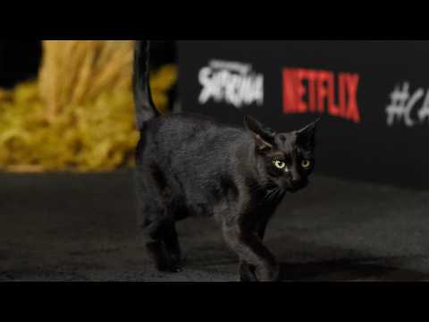 VIDEO : The ?Chilling Adventures Of Sabrina? Creator Explains Silent Salem
