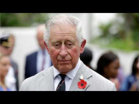 VIDEO : Prince Charles Talks About Future Role As King
