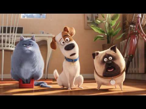 VIDEO : The Secret Life of Pets 2: Chloe Trailer Released