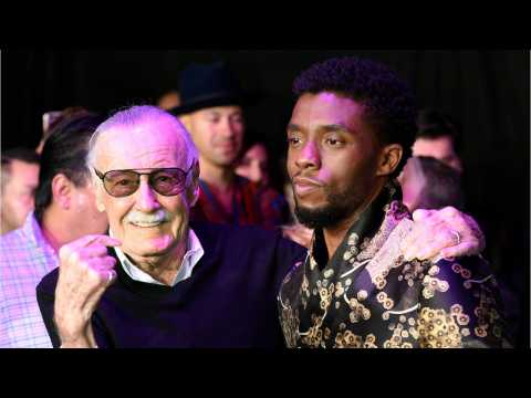 VIDEO : Chadwick Boseman Shares Special Tribute To Stan Lee