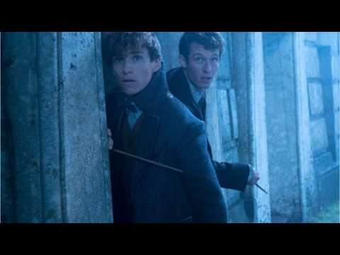 VIDEO : What Do We Know About 'Fantastic Beasts 3'?