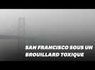 San Francisco est recouverte d'un brouillard d'air toxique