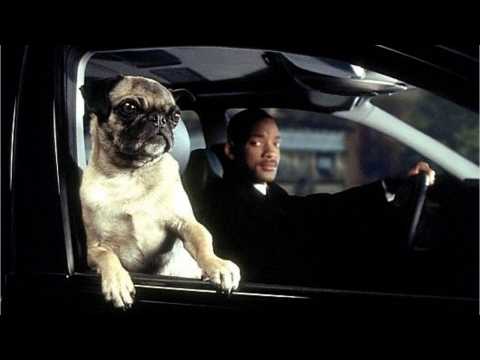 VIDEO : 'Men in Black International' Teaser Image Revealed