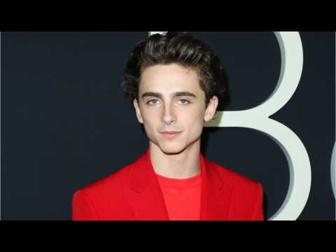 VIDEO : Timothe Chalamet Wept After Seeing 'Interstellar'