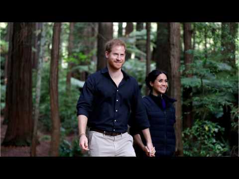 VIDEO : Meghan Markle Borrowed Prince Harry's Puffer Coat For A Walk Through The New Zealand Forest
