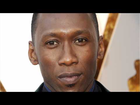 VIDEO : HBO Releases New True Detective Trailer