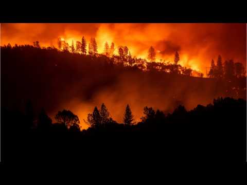 VIDEO : California Fires Present Danger To Homes Of Celebrities
