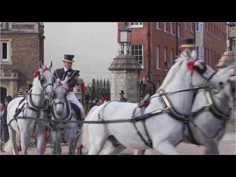VIDEO : 2019 Wedding Trends