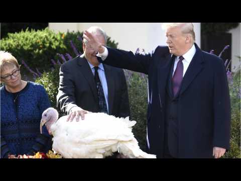 VIDEO : Trump Pardons Turkey Named Peas
