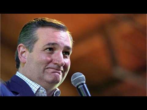 VIDEO : Triumph The Insult Comic Dog Goes After Ted Cruz