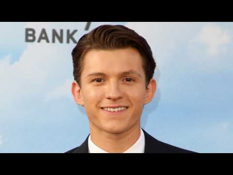 VIDEO : Spider-Man Fans Are Relieved That Tom Holland Is of Legal Age
