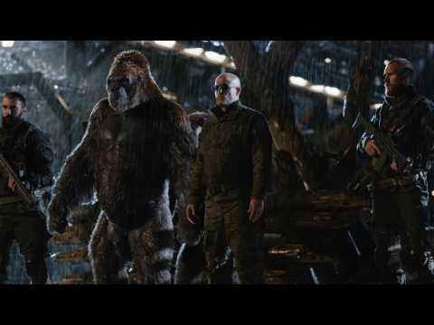 VIDEO : Woody Harrelson Had 