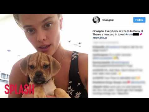 VIDEO : Nina Agdal Gets New Puppy For Breakup Therapy