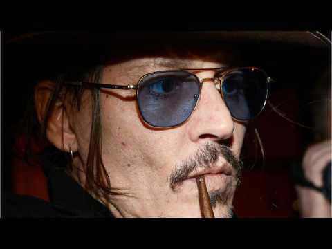 VIDEO : Director Defends Johnny Depp Over Recent Set Allegations