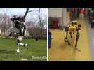 Vous trouviez déjà les robots de Boston Dynamics terrifiants? Vous n'aviez encore rien vu