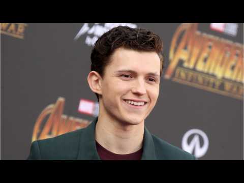 VIDEO : Tom Holland Saved A Lost Dog Today