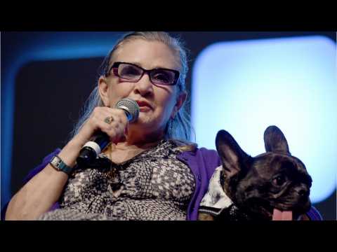 VIDEO : A Photo Of Carrie Fisher's Dog Watching The New 'Star Wars' Trailer