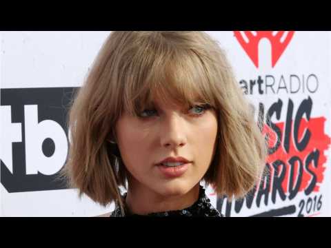 VIDEO : Fans Can?t Get Over Taylor Swift's Cat Lyric in 'Gorgeous'