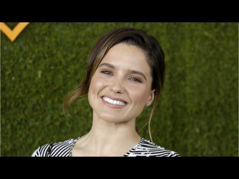 VIDEO : Sophia Bush Inks Talent Holding and Development Deal With Fox