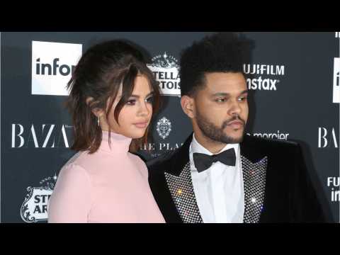 VIDEO : The Weeknd Reportedly Unfollowed Selena Gomez And Friends