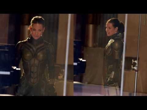VIDEO : Evangeline Lilly Appears in Full Costume as The Wasp