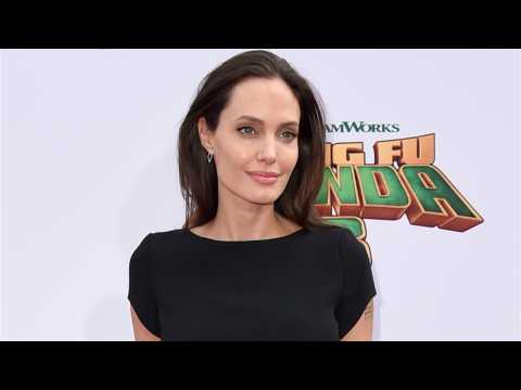 VIDEO : Angelina Jolie To Voice One and Only Ivan