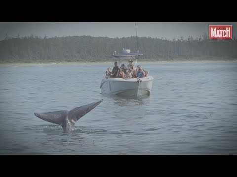 VIDEO : Tofino, le paradis des baleines et des apprentis surfeurs