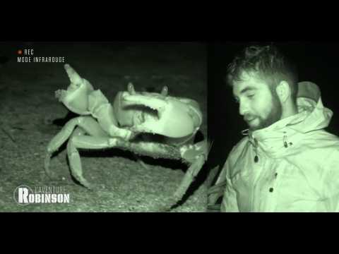 VIDEO : Kendji Girac a peur d'un crabe ! (Aventure Robinson) - ZAPPING PEOPLE DU 19/02/2018
