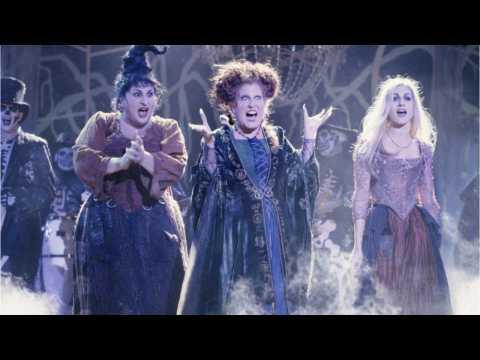 VIDEO : One Actor Is Totally On Board With A 'Hocus Pocus' Sequel