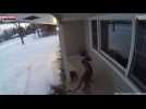 Etats-Unis : Un puma rode autour d'une maison (vidéo)