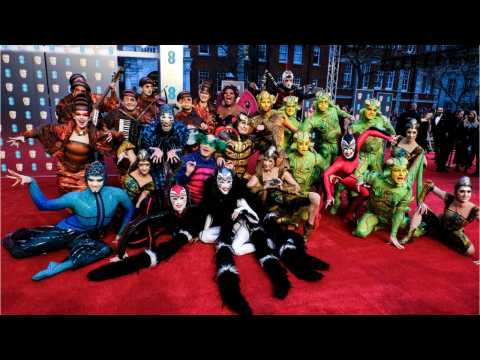 VIDEO : Cirque du Soleil Aerialist Dies In Fall