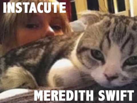 VIDEO : Meredith : Le chat super star de Taylor Swift !