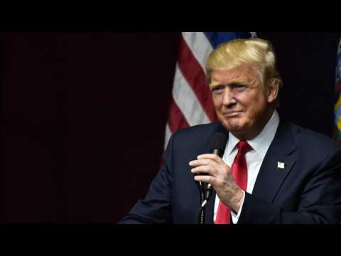 VIDEO : Trump's Misspelled Tweets Cause People To Do This