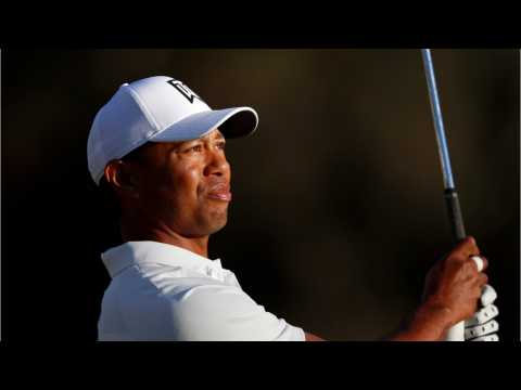 VIDEO : Famed Documentary Filmmaker Taking On Tiger Woods Biography
