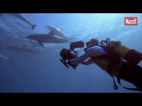VIDEO : ?Blue?, l??harmonie et la magie des profondeurs de l?ocan