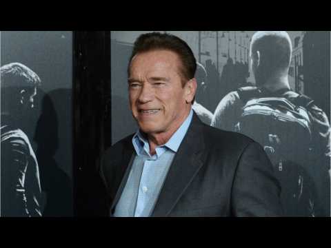 VIDEO : Arnold Schwarzenegger Confirms 'Triplets' Script Is Finished