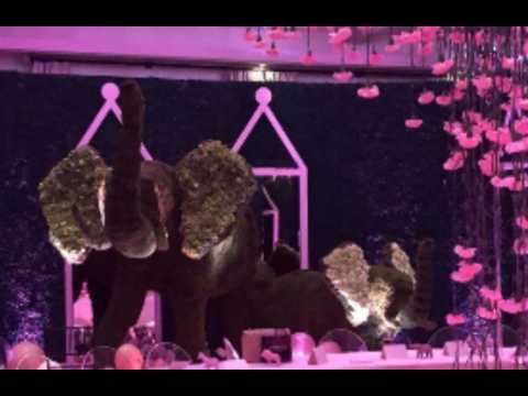 VIDEO : Inside Khloe Kardashian's elephant-themed baby shower