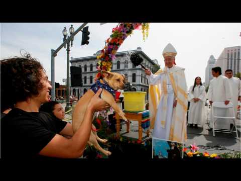 VIDEO : Los Angeles Animals Receive Annual Blessings