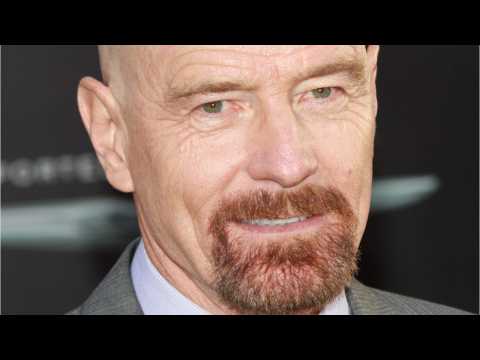 VIDEO : Bryan Cranston Doesn't Care About The Box Office