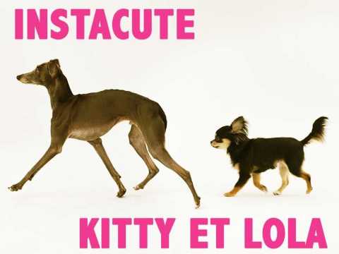 VIDEO : Kitty et Lola : Les deux chiennes stars de la youtubeuse Natoo !