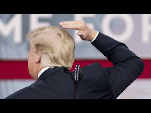 VIDEO : Donald Trump Vs. The Wind
