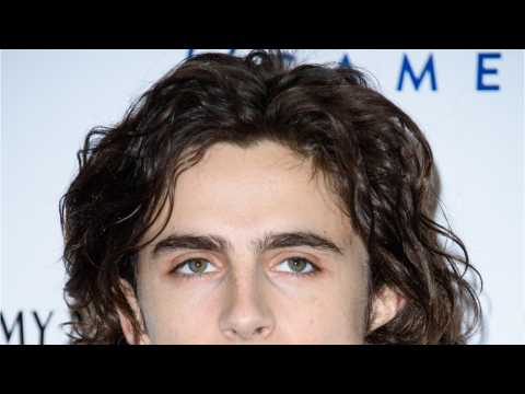 VIDEO : Timothee Chalamet: Call Me By Your Name Was Immersive Experience