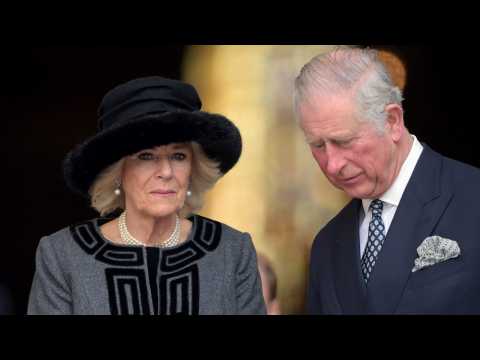 VIDEO : New Book Says Queen Elizabeth Called Camilla ?Wicked?