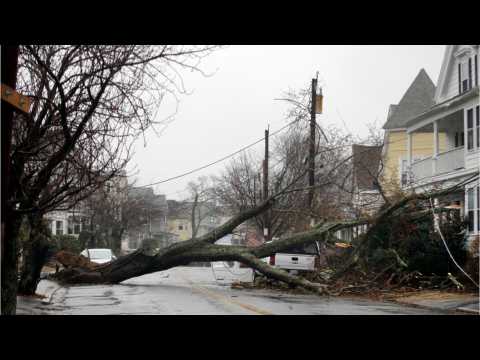 VIDEO : Storm Kill 5 People As They Lash U.S. Northeast
