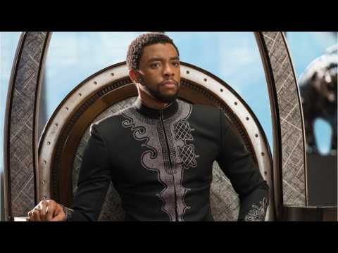 VIDEO : 'Black Panther' Rakes In Over $500 Million At The Domestic Box Office