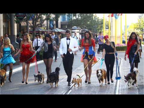 VIDEO : A Book On ?The Bachelor?