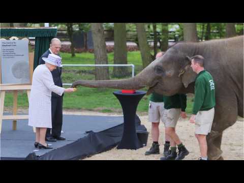 VIDEO : Prince Philip Improving After Hip Replacement